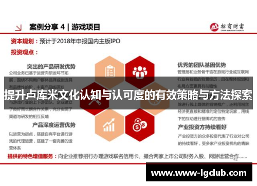 提升卢库米文化认知与认可度的有效策略与方法探索